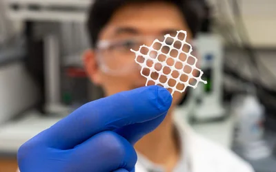 Tangled Seaweed Inspires One-Size-Fits-All Cleaners for Ocean Microplastics