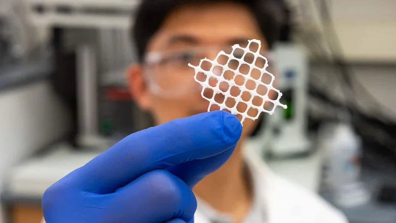 Tangled Seaweed Inspires One-Size-Fits-All Cleaners for Ocean Microplastics