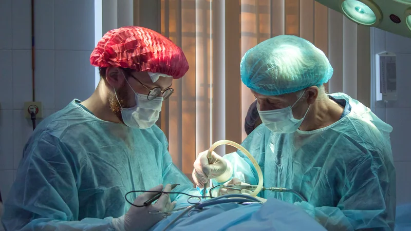 Harvard researchers have developed a customizable soft robot that fits around a heart and helps it beat, potentially opening new treatment options for people suffering from heart failure. The device is tethered to an external pump, which uses air to power the soft actuators