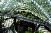 Enhancing ESG performance with IoT