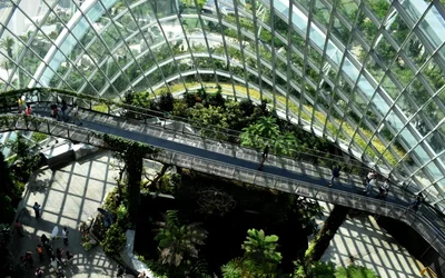 Enhancing ESG performance with IoT