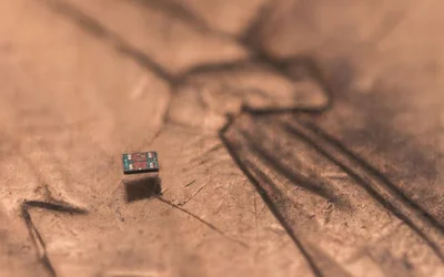 World's smallest programmable robots perform tasks