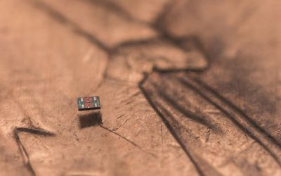 World's smallest programmable robots perform tasks