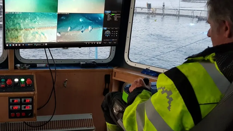 Keeping Fish Farms Clean: How Meox Uses Xsens MTi-3 for Reliable Underwater Robotics