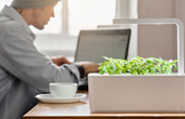 Home-grown food production gets smart