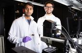 New sensor sniffs out pneumonia on a patient's breath