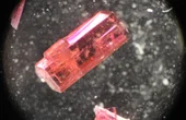 New Composite for Ultrafast Durable Sensors