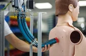 A neural blueprint for human-like intelligence in soft robots