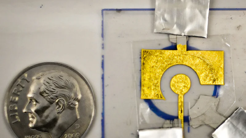 The electrochemical sensors developed in Ariel Furst’s lab consist of DNA adhered to an inexpensive gold leaf electrode, which is laminated onto a sheet of plastic. Credit: Courtesy of the researchers; edited by MIT News