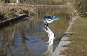 BirdBot, a 3D-printed bipedal robot, offers major efficiency gains through avian biomimicry