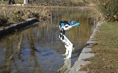 BirdBot, a 3D-printed bipedal robot, offers major efficiency gains through avian biomimicry