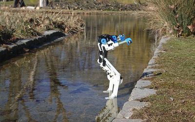 BirdBot, a 3D-printed bipedal robot, offers major efficiency gains through avian biomimicry