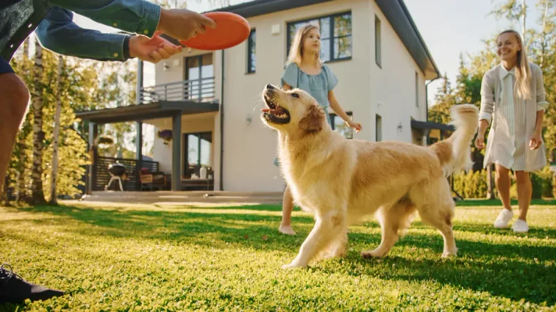 Wireless technology keeps us safe at home, work and play