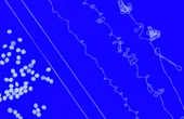 MIT engineers design recyclable elastic yarn
