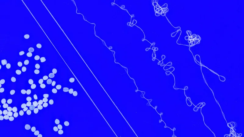 MIT engineers design recyclable elastic yarn