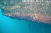 ROVs for Defense and Security Hull Inspection