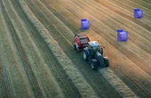 Breaking Down the Data Barriers in AI Adoption for Industrial Vision