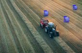 Breaking Down the Data Barriers in AI Adoption for Industrial Vision