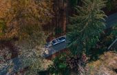 Decarbonization, Sustainability, and Innovations in Transportation and Mobility