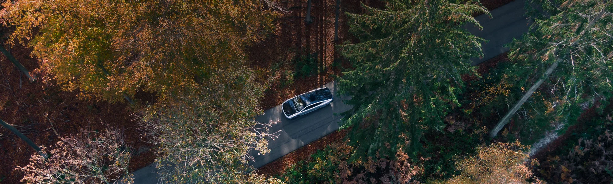 Decarbonization, Sustainability, and Innovations in Transportation and Mobility
