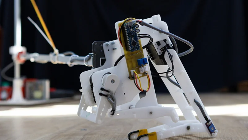Flexible jumping robot. Photo by Dmitry Grigoryev / ITMO.NEWS
