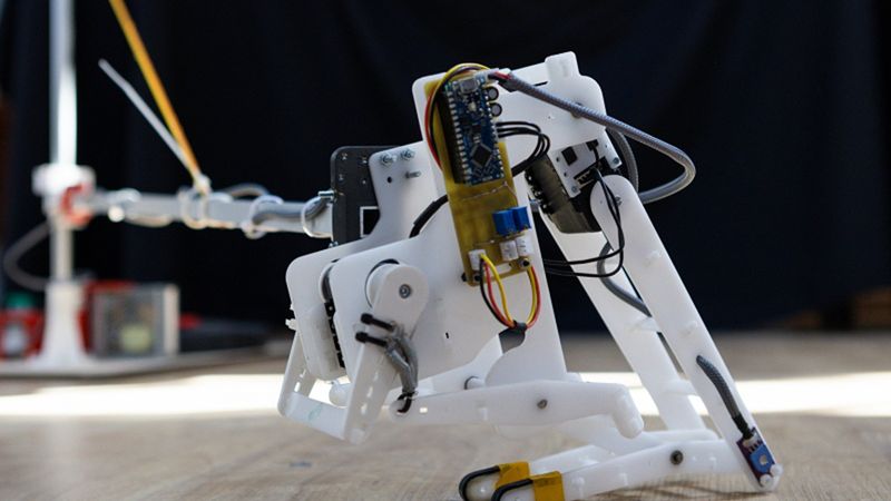 Flexible jumping robot. Photo by Dmitry Grigoryev / ITMO.NEWS