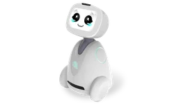 0.vt0zim9dlmbuddy