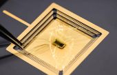 An entire brain-machine interface on a chip