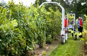 From space to farm: readying NASA satellites to help growers