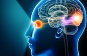 AI brings object-level vision prosthetics closer to reality
