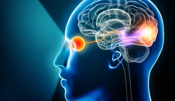 AI brings object-level vision prosthetics closer to reality