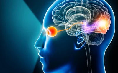 AI brings object-level vision prosthetics closer to reality