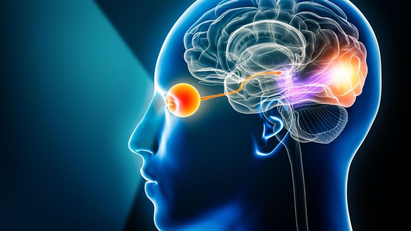 AI brings object-level vision prosthetics closer to reality