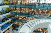 Breathing Better: Using Environmental Sensors to Improve Indoor Air Quality