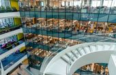 Breathing Better: Using Environmental Sensors to Improve Indoor Air Quality