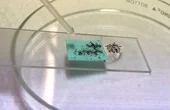 Waterproof coating is made from upcycled textile waste