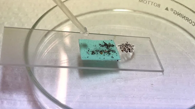 Waterproof coating is made from upcycled textile waste