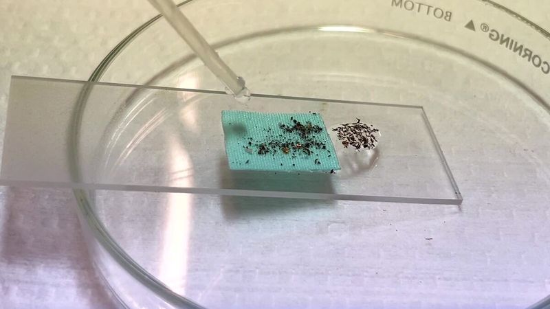 Waterproof coating is made from upcycled textile waste