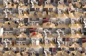 Multimodal and reasoning LLMs supersize training data for dexterous robotic tasks
