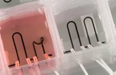 3D-printed heart-on-a-chip with integrated sensors