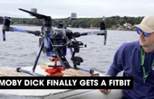 Podcast: Moby Dick Finally Gets a Fitbit