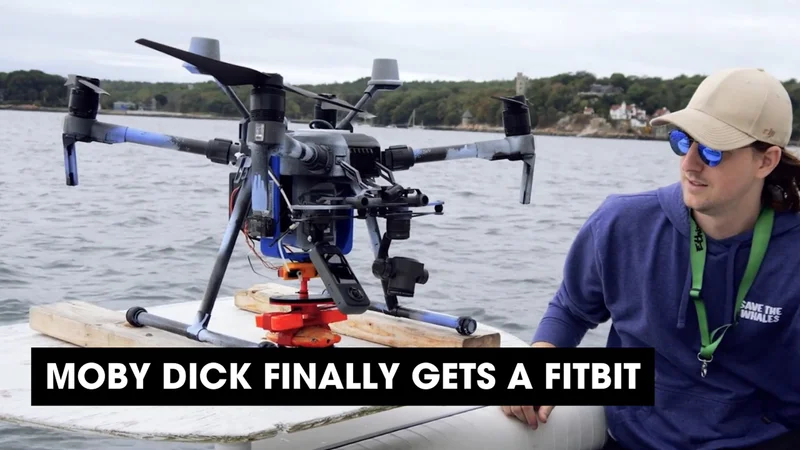 Podcast: Moby Dick Finally Gets a Fitbit