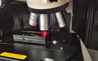 Researchers' New Composite Material Offers 10,000x Amplification of Raman Spectroscopy Signal