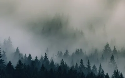 0.xperq96gvb2023 misty northwest bg