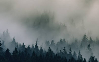 0.xperq96gvb2023 misty northwest bg