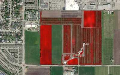 Drones and Ground Robots for Precision Agriculture