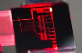 Integrated photonics: key enabler of bio-sensing for the fight against diseases