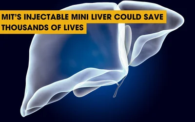MIT's Injectable Mini Liver Could Save Thousands of Lives