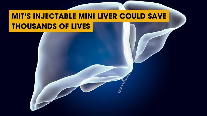 MIT's Injectable Mini Liver Could Save Thousands of Lives