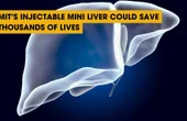 MIT's Injectable Mini Liver Could Save Thousands of Lives